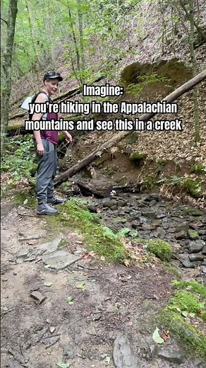 POV: You spot something strange in a creek in the Appalachian mountains👀