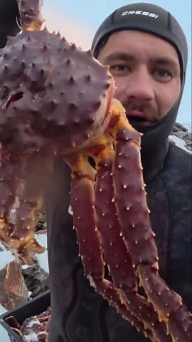 King crab catch and cook! 🔪🦀 #survival #catchandcook #kingcrab