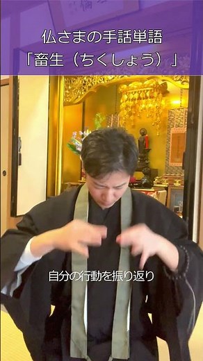 仏さまの手話単語「畜生」～『仏教聖典（表現監修：米内山明宏氏）』より#手話 #手話単語 #動物 #仏教 #shorts