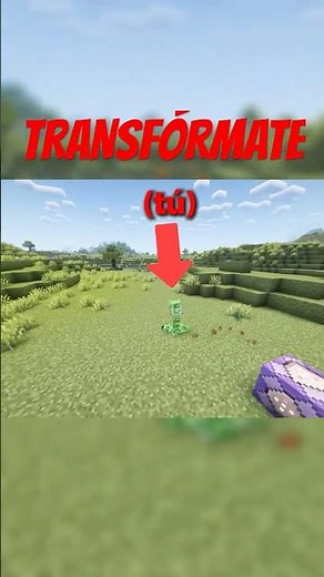 Transform into ANY Minecraft mob!