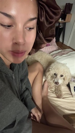 mabelsmommy (@mabelsmommy)’s video of sofia wylie and preston