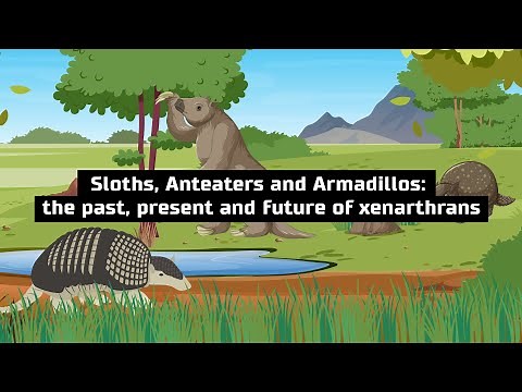 Sloths, anteaters and armadillos: the past, present and future of xenarthrans