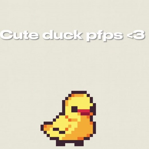 Cute duck pfps!