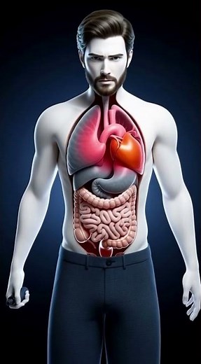 What Happens Inside Your Body When You Vape 🚭 | Health Effects Explained