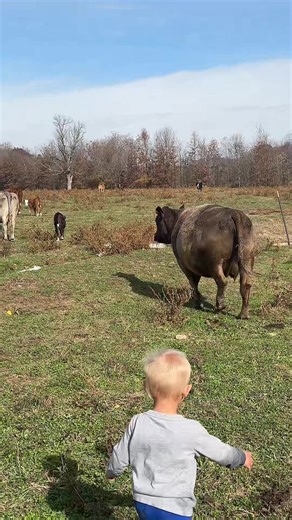 Farmer McKayla 🌻🌾🐮 (@mckaylachristinem)’s videos with original sound - Farmer McKayla 🌻🌾🐮