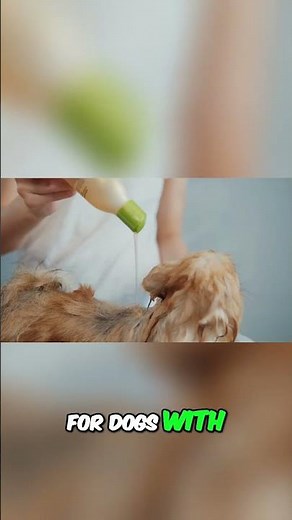Eliminate Dog Odor with Selenium Sulfide Shampoo!