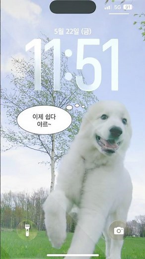 🔔댕톡 도착✉️ 확인서 발급만 받으면 ok!