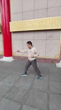 山西 車式形意 六合拳 #kungfu #martialarts