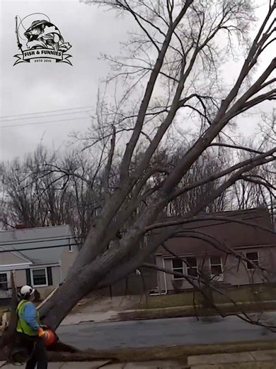 113K views · 693 reactions | From breathtaking views to unbelievable moments, these clips capture nature like you’ve never seen before  #epicnature #mothernature #wildmoments #UnbelievableScenes #NatureVideos #PlanetEarth #MustWatch | Fish & Funnies | Facebook