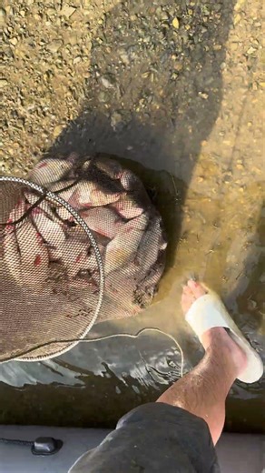 Рыбалка на Оби