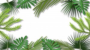 Animated symmetrical pattern of tropical leaves. | Premium Stock Video Footage