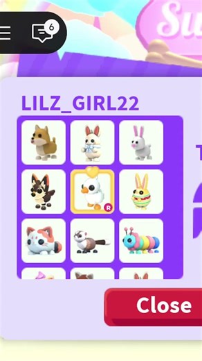 Please @PlayAdoptMe help me get my things back #hacked #pets #adoptme #playadoptme