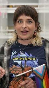 Were there gay dinosaurs?