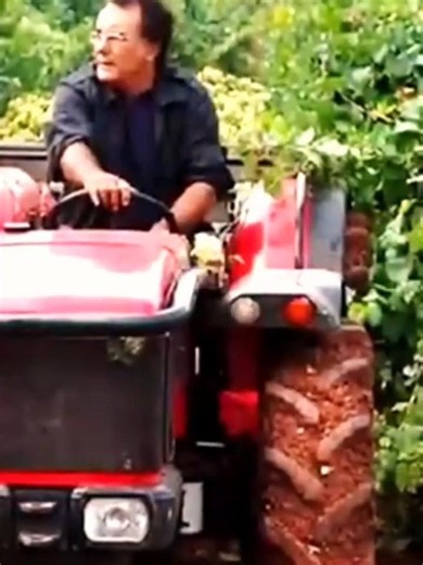 The Perfect Blend: Al Bano’s Journey into Wine Tourism | The Iconic Music🎶