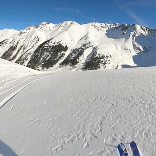 316 reactions · 17 comments | In Telluride and want to heliski Silverton Mountain’s legendary terrain? We’ll pick you up! Meet us at the Telluride airport and our expert pilots and guides will take you and your adventure crew into the 29,000 rugged acres of Silverton backcountry for an unforgettable day of skiing or riding. Learn more and book your Telluride heliskiing day now! | Silverton Mountain | Facebook