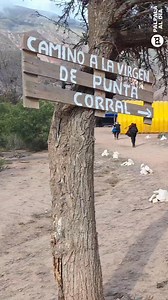 👉 𝗟𝗔 𝗙𝗘 𝗠𝗨𝗘𝗩𝗘 𝗠𝗢𝗡𝗧𝗔𝗡̃𝗔𝗦: Miles de jujeños peregrinaron a Punta Corral para visitar a la mamita del cerro | Palpalá Al Día
