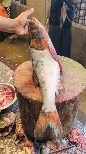 "Perfect Silvar carp Cutting Style — Cooking Ready Fillets!" #shorts