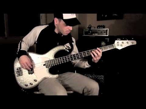 RHCP - Around the World [Bass Cover] with a Modulus Flea Bass Funk Unlimited [by Miki Santamaria]