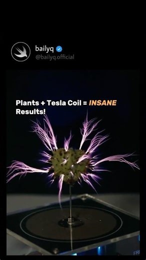 When Plants Meet a Tesla Coil ⚡