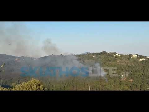 ΝΕΟ ΒΙΝΤΕΟ ΑΠΟ ΤΗ ΦΩΤΙΑ ΣΤΗ ΣΚΙΑΘΟ [Ric Stott] 19.4.2026