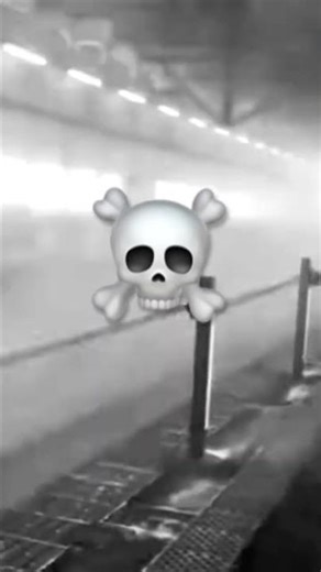 Fastest bullet train