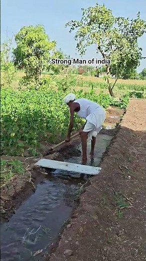 #Agriculture #shorts #shortfeed #treding #viral #indianfarmer