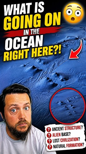 What Is Going On in the OCEAN Right Here?! 😳🌊