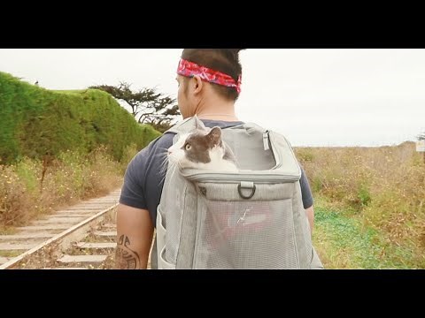 "The Navigator" Cat Backpack by Travel Cat - For Adventure, Hiking, Alternative to Plastic Carriers
