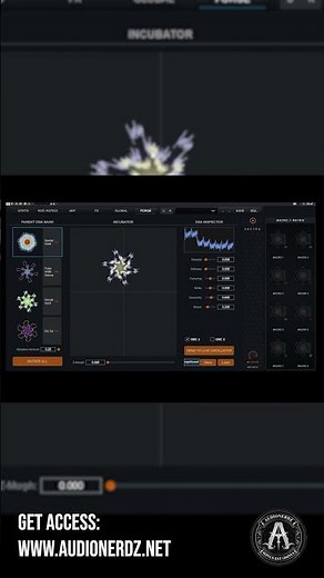 VectraForge - The Art of Sound Creation #VECTRA