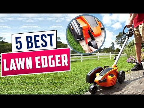 Top 5 Best Lawn Edgers in 2025