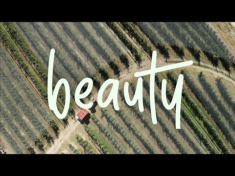 ROYALTY FREE Classical Background Music / Inspiring Orchestral Royalty Free Music by MUSIC4VIDEO