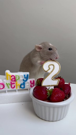 Birthday party 😄❤️