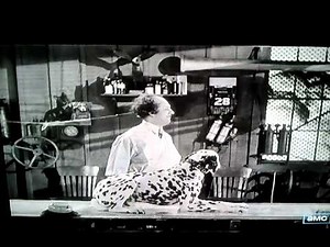 3 stooges washing a dog hilarious ending