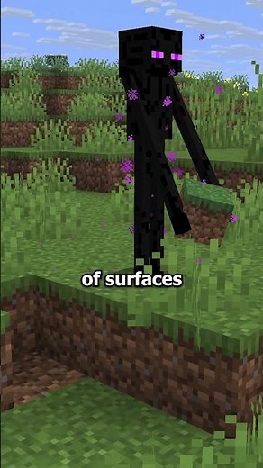 What block does an enderman pick up the most? #minecraft