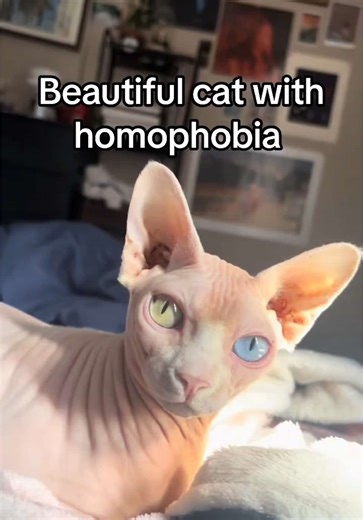 Fiona Apple's Love for Everyone and Her Beautiful Cat