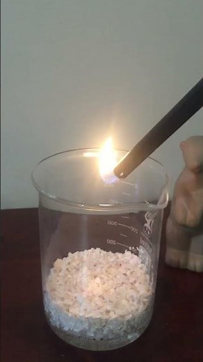 Egg Shells reacting with Hydrochloric Acid