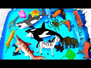 Box Full Of ZOO Animals Toys! Learn with Wild Animal For Kids
