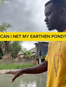 20K views · 38 reactions | Benefits of netting an Earthen Pond in...