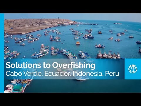 Coastal Fisheries: Solutions to Overfishing in Cabo Verde, Ecuador, Indonesia, and Peru