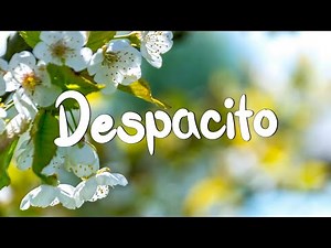 Despacito - Luis Fonsi (Lyrics) Sia ,Unstoppable, David Guetta (MixLyrics)