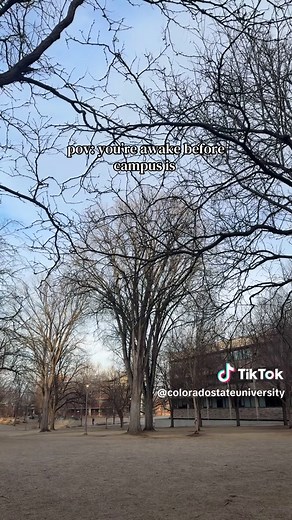 Early Mornings at Colorado State University