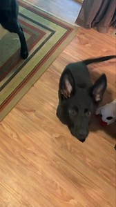 13K views · 2.7K reactions | Last cast change  | Ten Shakes of Grace | Facebook