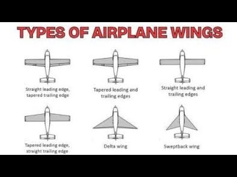 Types of Airplane Wings EXPLAINED 😱✈️ | Shocking Wing Designs & Aerodynamic MAGIC! 🔥✨#shortsfeed #yt