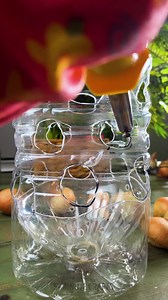A multi-storey garden in a bottle. 🥑 | 5-Minute Crafts