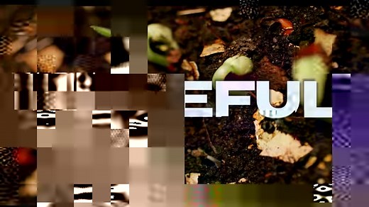 455K views · 3K reactions | "Innovative...a nature documentary that will leave you feeling hopeful.” - People Magazine Kiss the Ground Movie premieres on Netflix September 22. Join the Movement at kissthegroundmovie.com | Kiss The Ground | Facebook