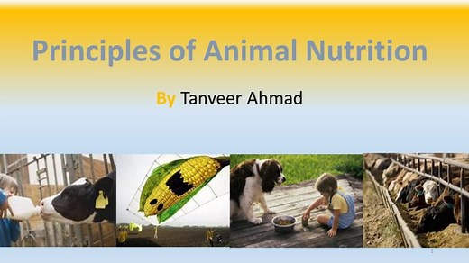 Principles of Animal Nutrition - FoodFeedInfo