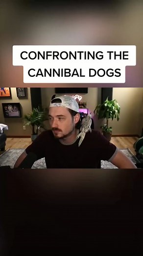 Confronting the Cannibal Dogs - The Isle of Dogs Movie Review