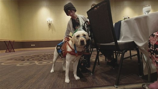 The Ability Center graduated eight new service dogs on Thursday, officially handing over their leashes to their new owners. | WTOL 11