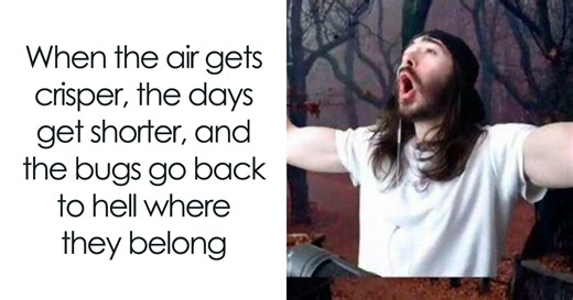 50 Hilarious Memes For Anyone Who Needs A Laugh Today
