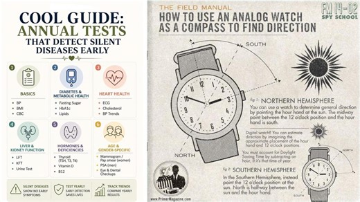 25 Interesting Guides And Graphics To Learn Something New